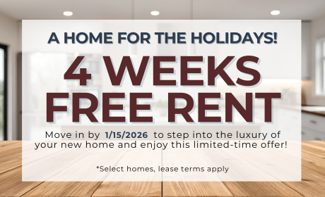 image for /shared/images/tyger-pointe-popup-c5jl2zp4.png