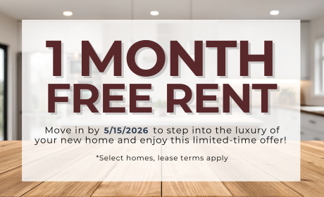 image for /shared/images/tyger-pointe-popup-e2ifvj1i.png