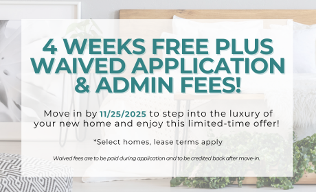 image for /shared/images/tyger-pointe-popup-gd4ex5ac.png