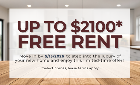 image for /shared/images/tyger-pointe-popup-ptcmaqnc.png