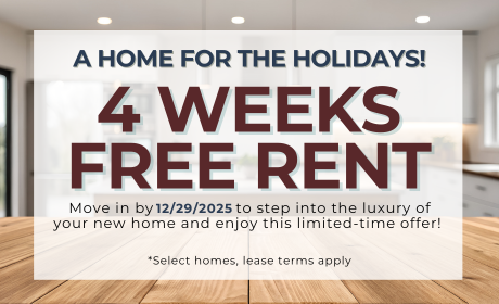 image for /shared/images/tyger-pointe-popup-ulzuyjrj.png